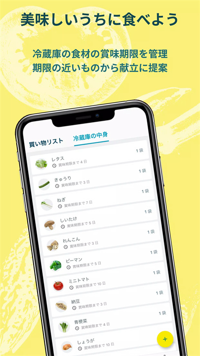 frish软件4
