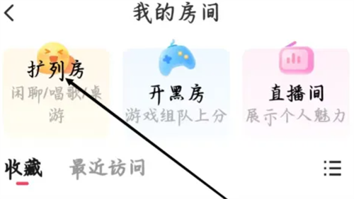 皮皮派对正版