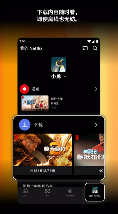 Netflix安卓版2