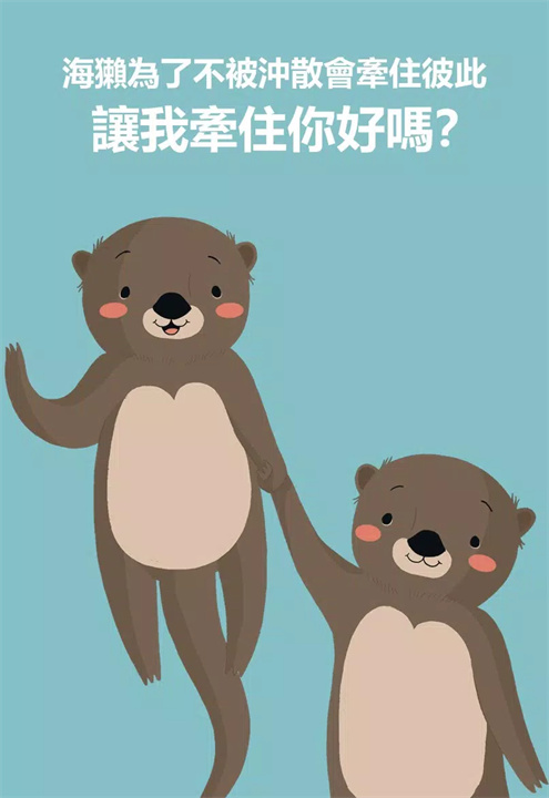 好奇海獭软件手机版5