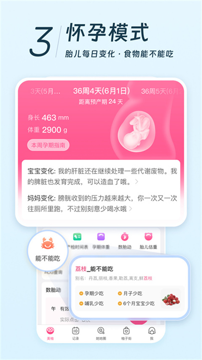 美柚手机版4