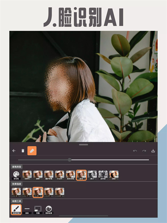 马赛克与模糊照片编辑器软件3
