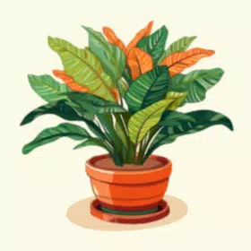 种植植物手游