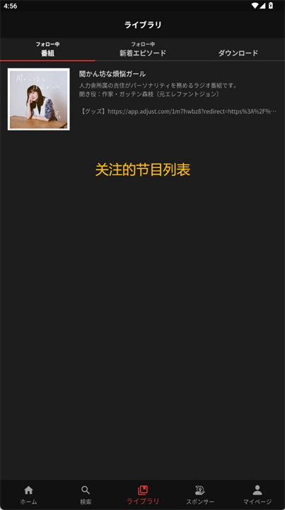 gera软件