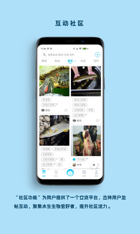 看鱼app3