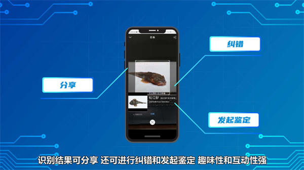 看鱼app