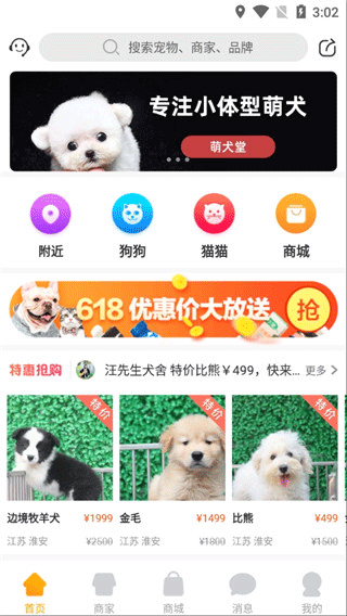 宠物市场