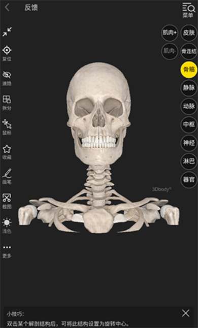 3Dbody解剖app