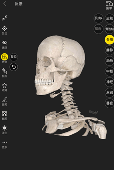 3Dbody解剖app