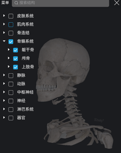 3Dbody解剖app