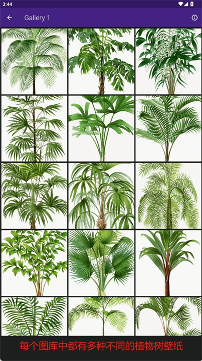 植物树壁纸手机版