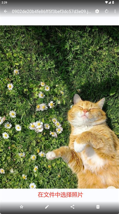 猫画廊安卓版