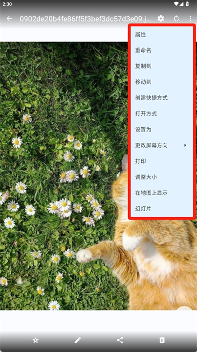 猫画廊安卓版