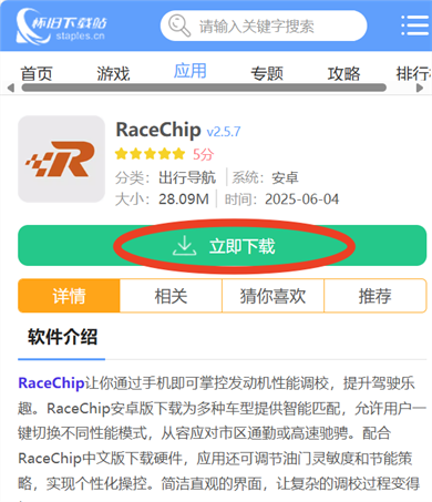 RaceChip