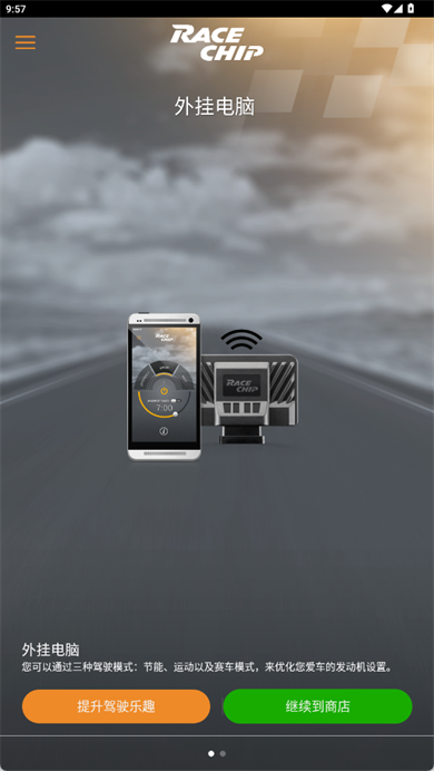 RaceChip