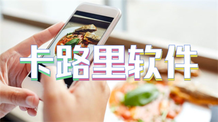 卡路里软件