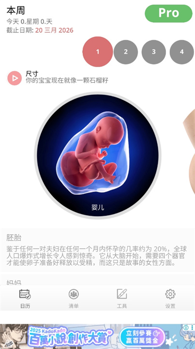 怀孕追踪器和婴儿软件