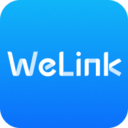 Welink视频会议
