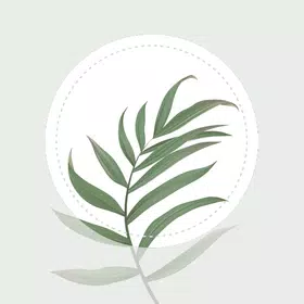blossom植物