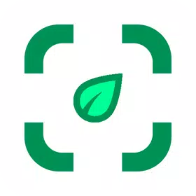 照片中的植物标识符安卓版