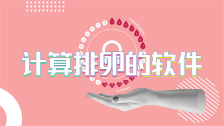 计算排卵的软件