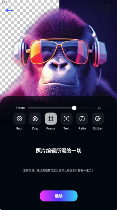 皮克塞拉软件