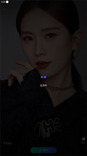来电秀秀app