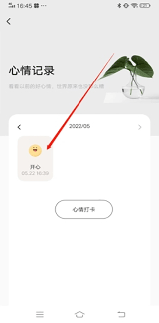 岁岁app