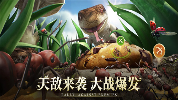 蚂蚁地下王国截图2