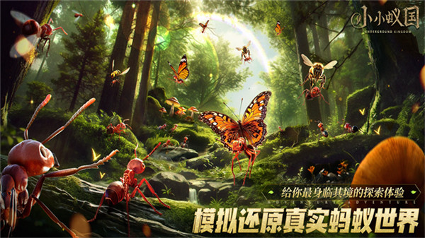 蚂蚁地下王国截图3