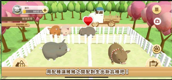 养猪场3D截图2