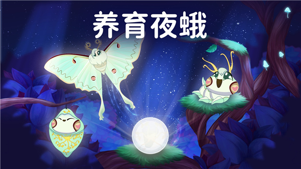 彩翼之星夜截图3