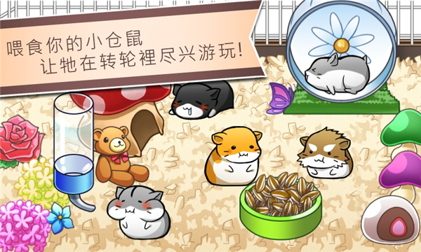 仓鼠的日常中文版截图0