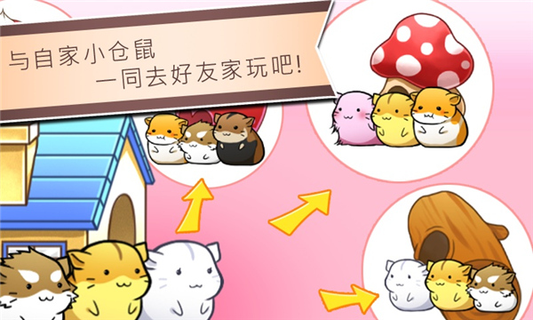 仓鼠的日常中文版截图4