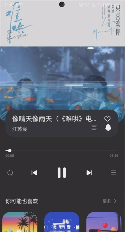 糖水音乐播放器安卓版