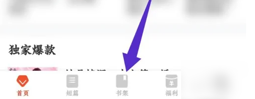 奇迹小说
