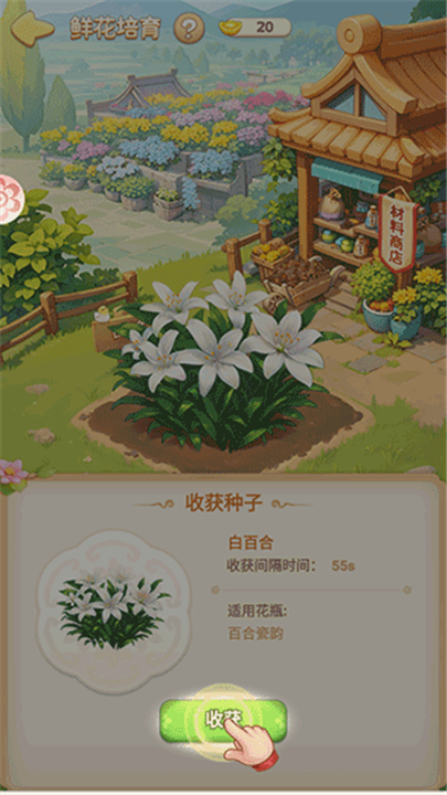 我的花园世界