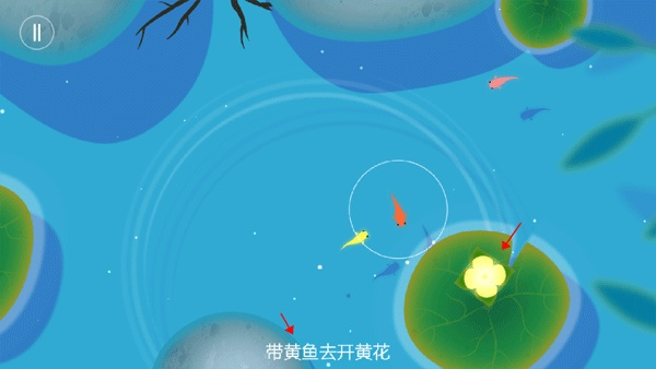 鲤重置版