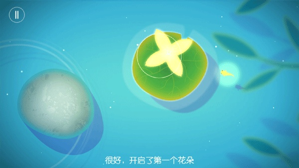 鲤重置版
